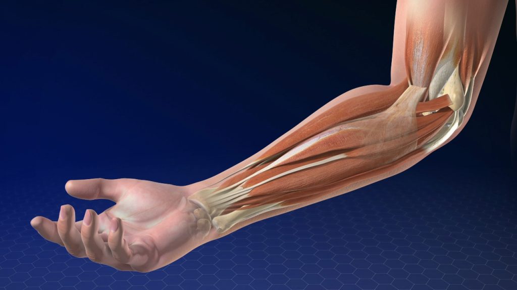 Medial Epicondylitis Condition